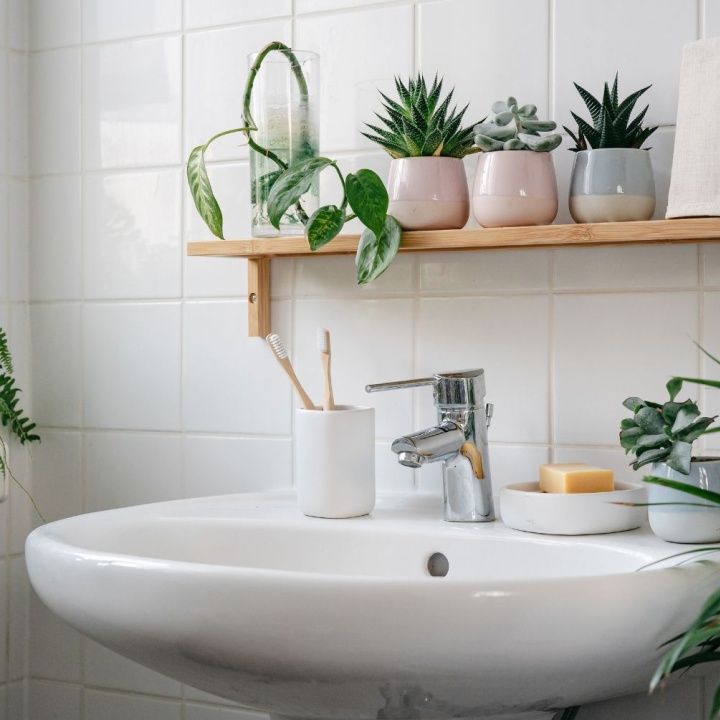 image of a bathroom sink with chrome tap and multiple different bathroom plants on wooden shelf above